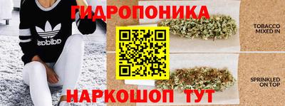 мдма Будённовск