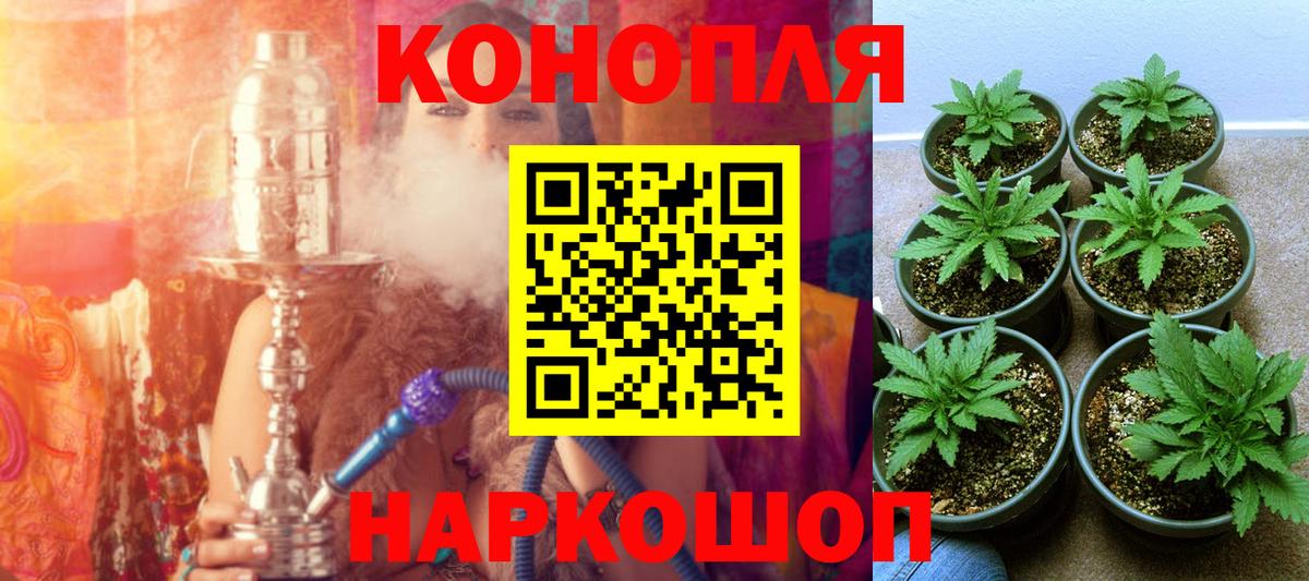 Каннабис AK-47  Бошки Шишки марихуана  Семёнов  Вход с VPN  Бошки Шишки сатива 